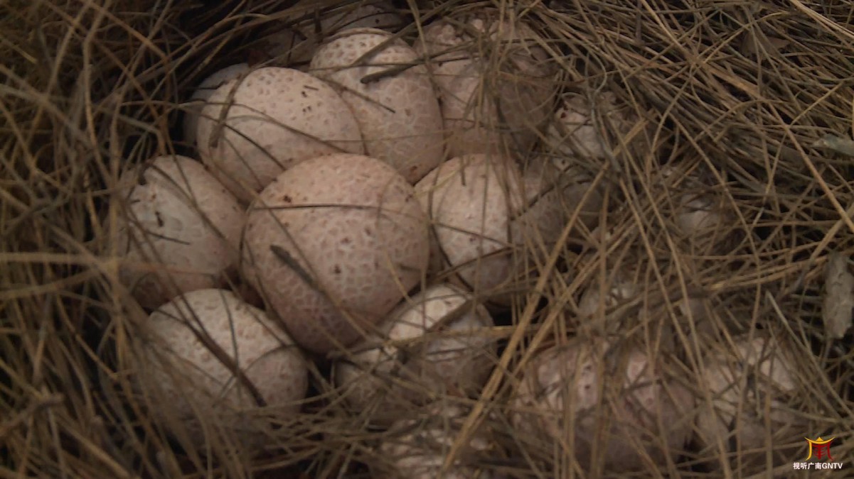 1652834441482569.jpeg 15-58-35-23-283825.jpeg