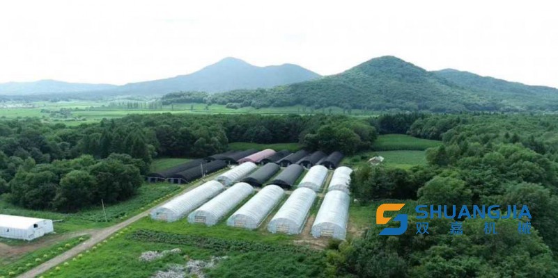 1681447999123348.jpg 09-00-51-22-283825.jpg